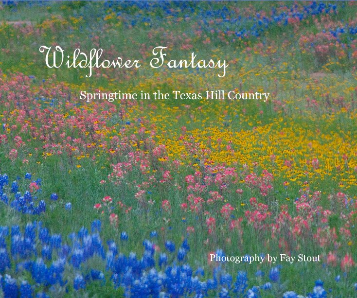 View Wildflower Fantasy by Fay Stout