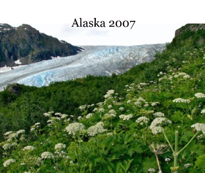 Alaska 2007 book cover