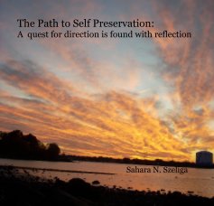 The Path to Self Preservation: A quest for direction is found with reflection book cover