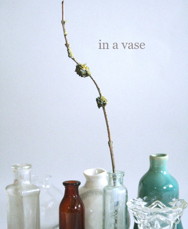 View in a vase by Kimberly Carney
