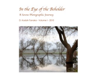 In the Eye of the Beholder book cover
