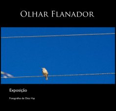 Olhar Flanador book cover