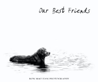 Our Best Friends book cover