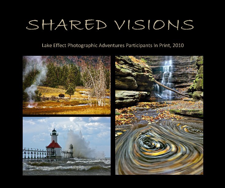 SHARED VISIONS nach Lake Effect Participants / Introduction by Hank Erdmann anzeigen