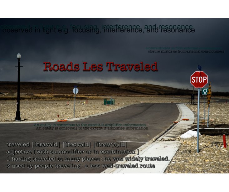 Ver Roads Les Traveled por Leslie O. Philipp