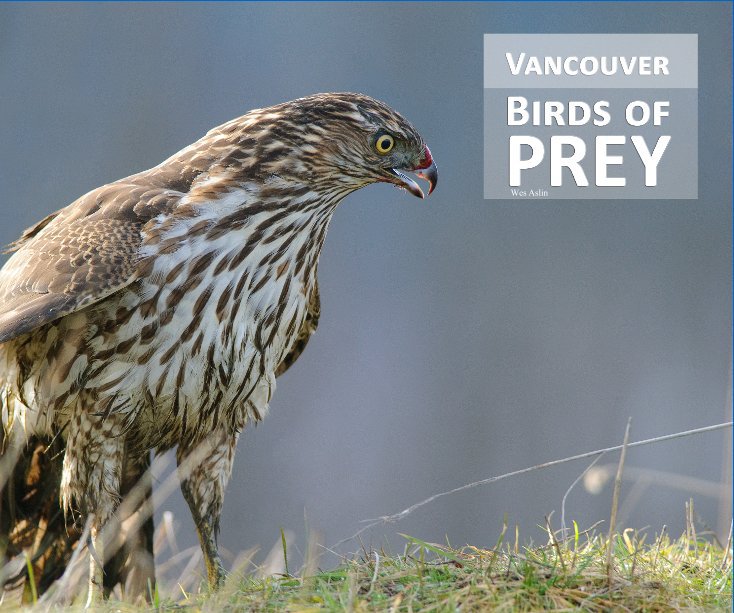 View 2nd Edition - Vancouver Birds of Prey by Wes Aslin