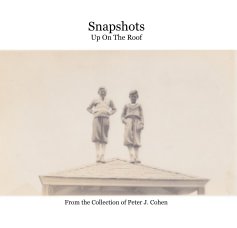Snapshots Up On The Roof book cover