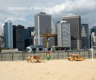 Impressions of New York book cover