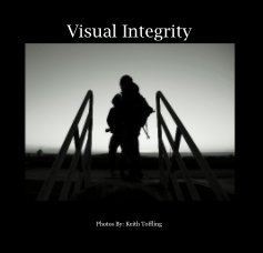 Visual Integrity book cover