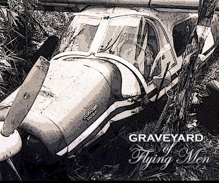 Bekijk Graveyard of Flying Men op Bryan MCCook