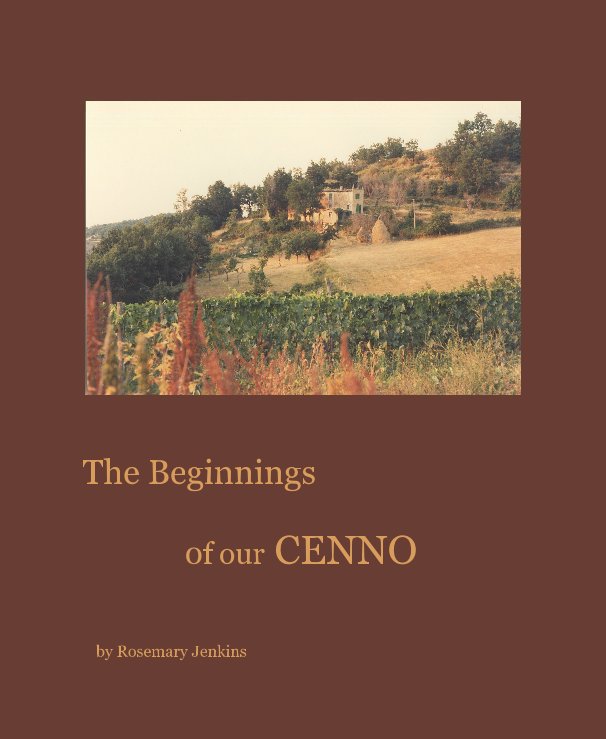 View The Beginnings by Rosemary Jenkins