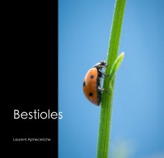 Bestioles book cover