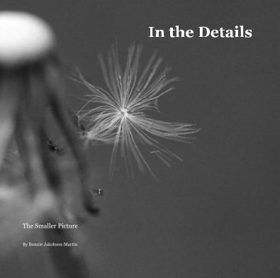 In the Details book cover