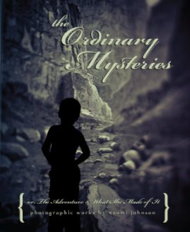 The Ordinary Mysteries book cover