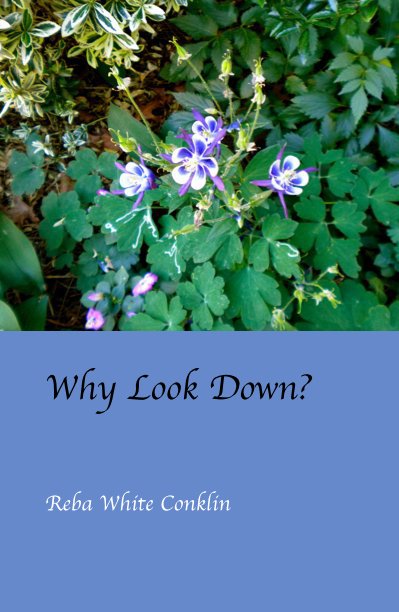 View Why Look Down? by Reba White Conklin