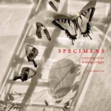 Specimens - Small Square Softcover book cover