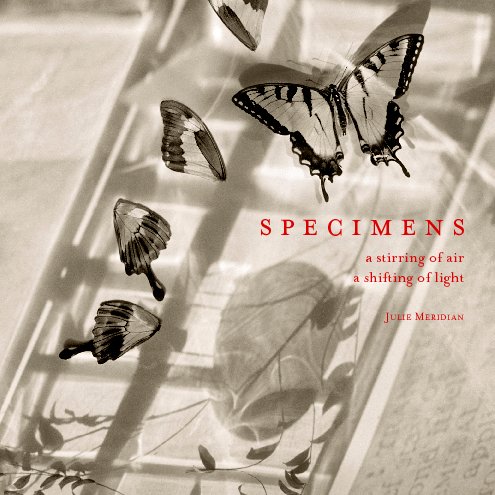 View Specimens - Small Square Softcover by Julie Meridian