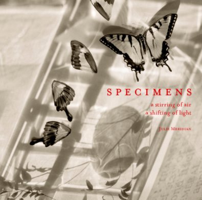 Specimens - Large Square Hardcover book cover