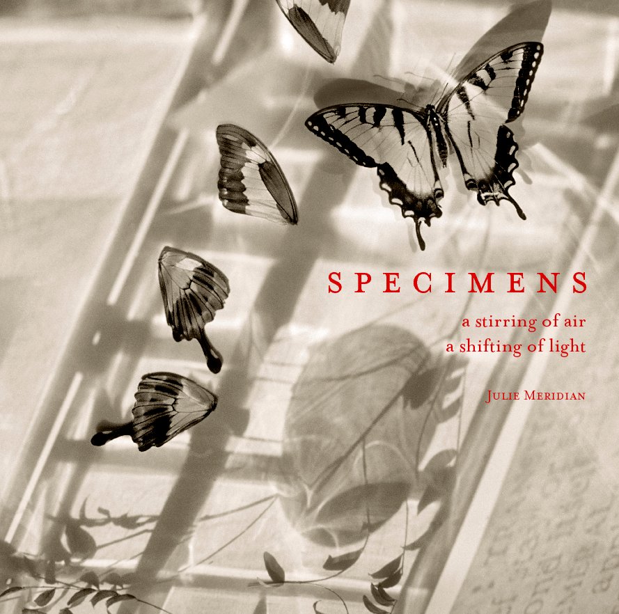 View Specimens - Large Square Hardcover by Julie Meridian