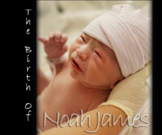 Birth of Noah book cover