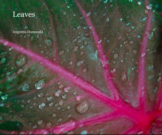 Leaves book cover