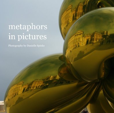 metaphors in pictures Photography by Danielle Spinks book cover