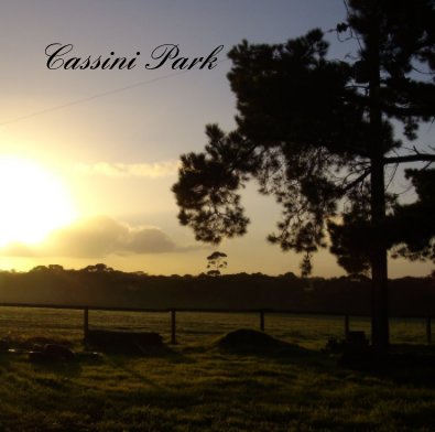Cassini Park book cover