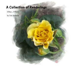 A Collection of Renderings book cover