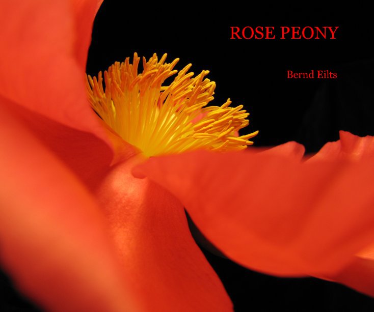 View ROSE PEONY by Bernd Eilts