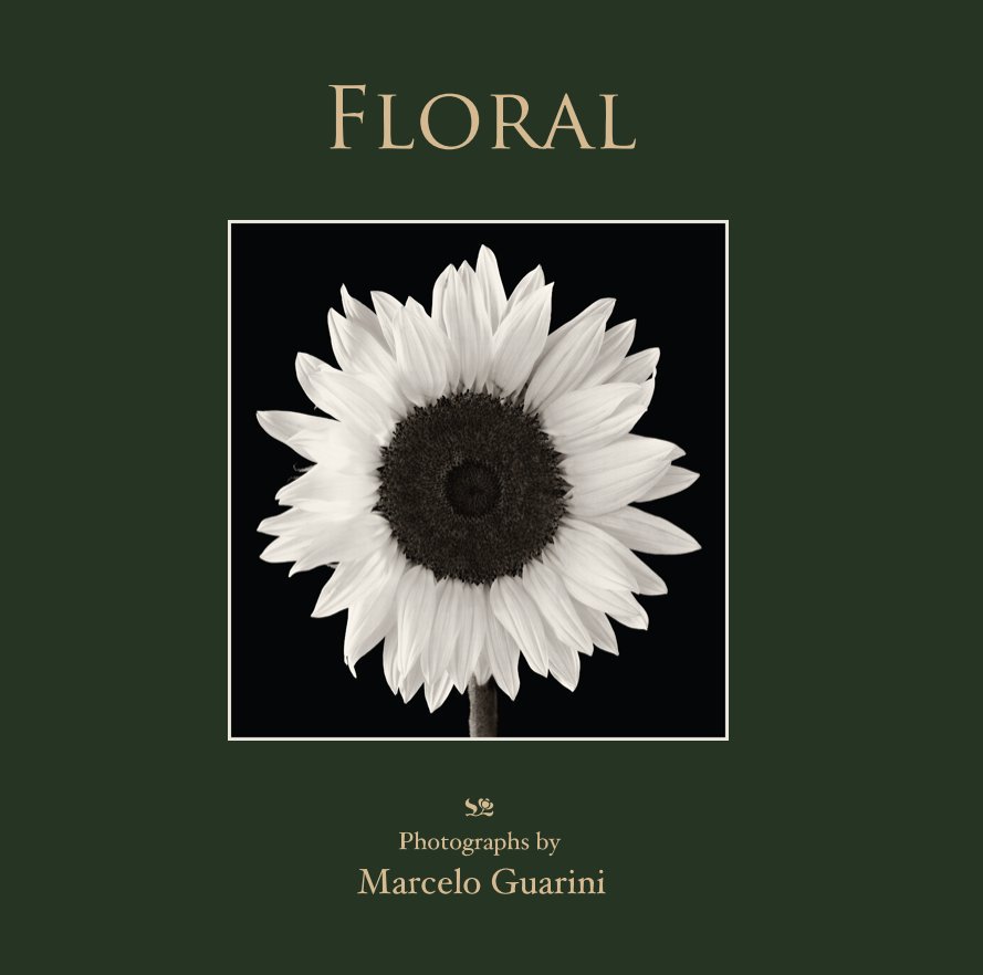 View Floral by Marcelo Guarini