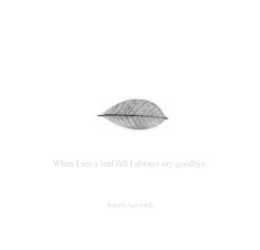 When I see a leaf fall I always say goodbye. book cover