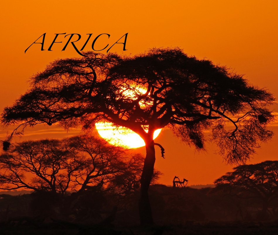 View AFRICA by Jennifer O'Neil