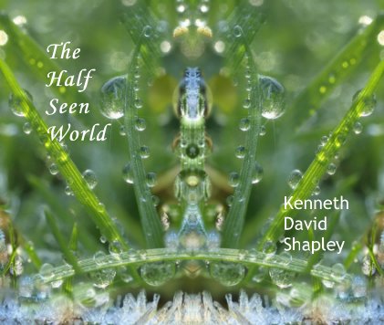 The Half Seen World book cover