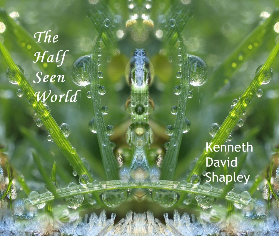 Ver The Half Seen World por Kenneth David Shapley