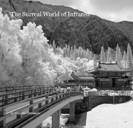 View The Surreal World of Infrared by Angustia Hamasaki