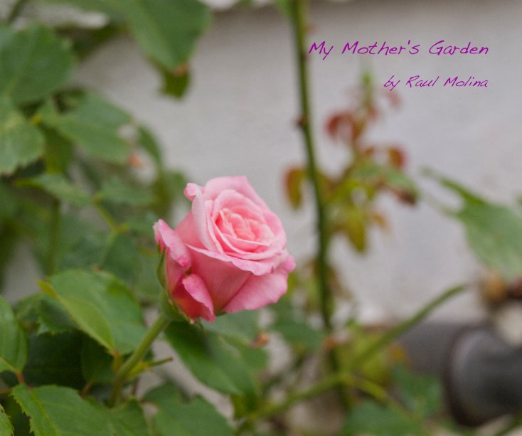 View My Mother's Garden by Raul Molina