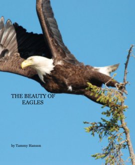 The Beauty of Eagles book cover