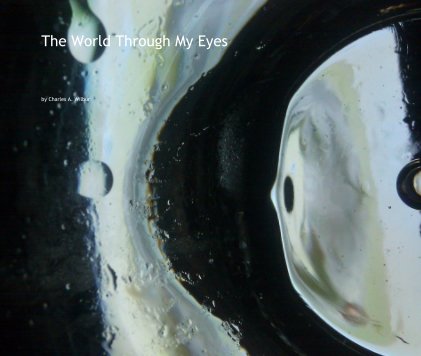 The World Through My Eyes book cover