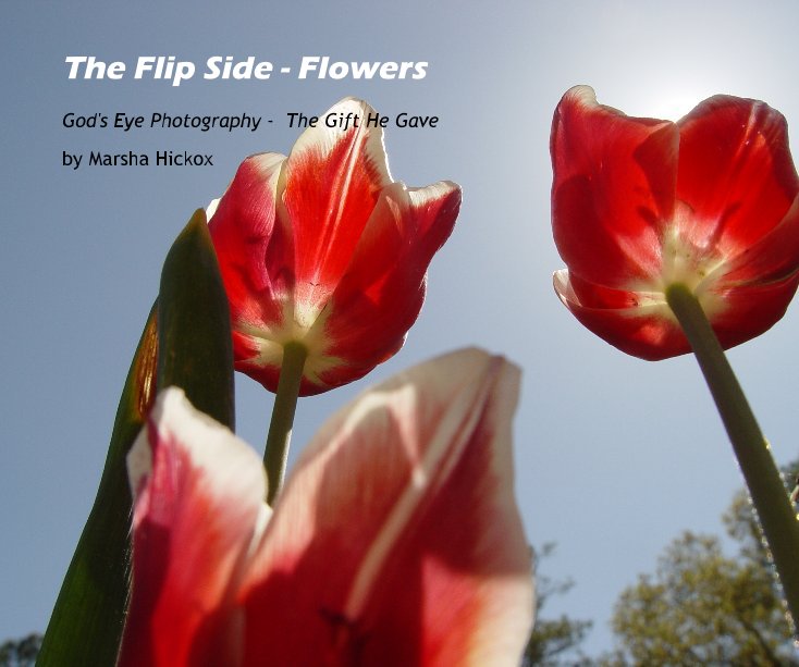Ver The Flip Side - Flowers por Marsha Hickox