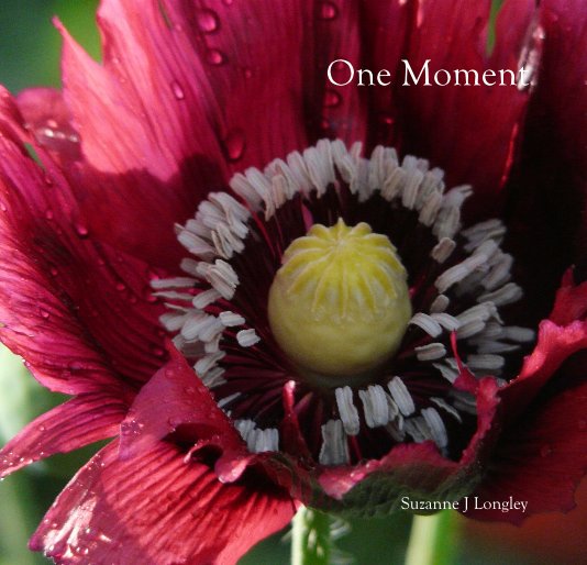 View One Moment by Suzanne J Longley