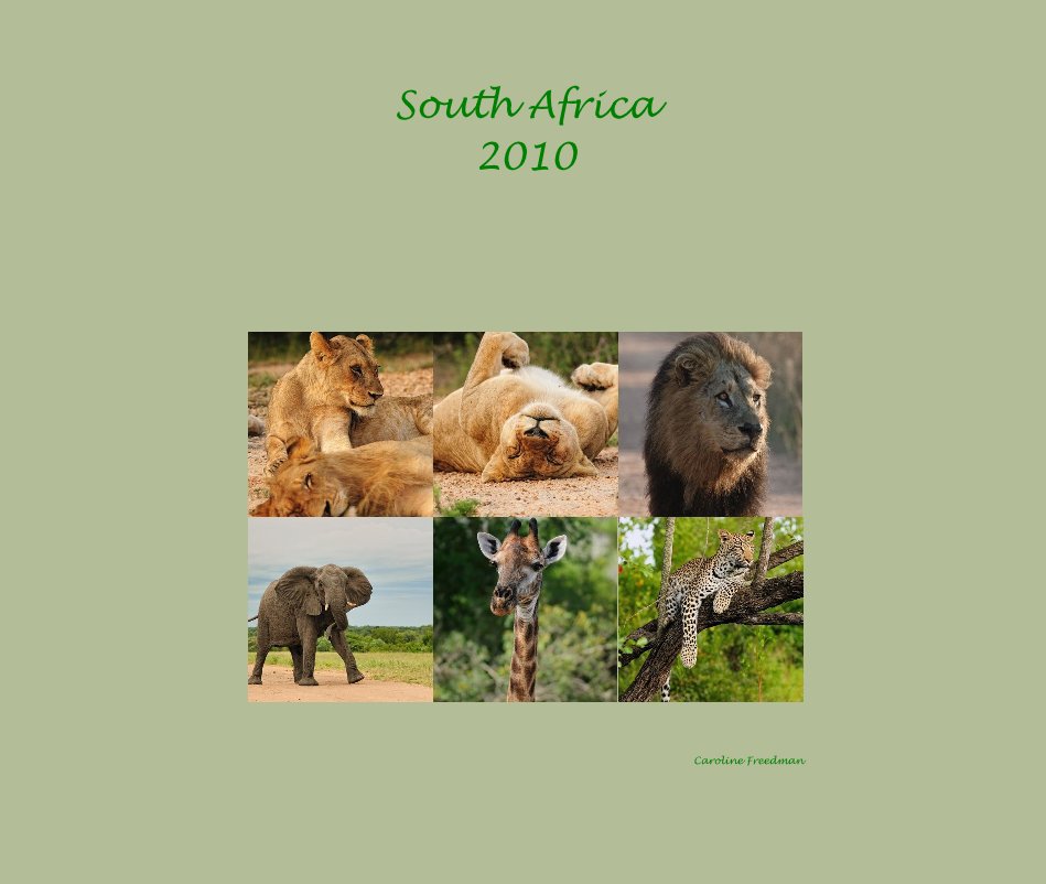 Ver South Africa 2010 por Caroline Freedman