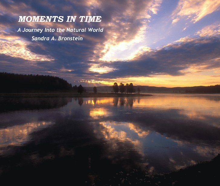 View MOMENTS IN TIME by Sandra A. Bronstein