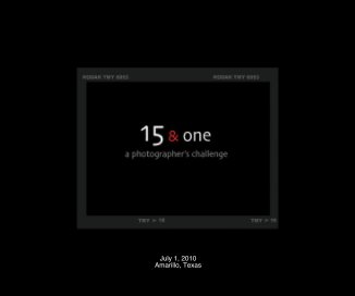 15 & one book cover