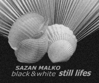 Black and white still lifes book cover