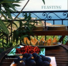 Feasting book cover