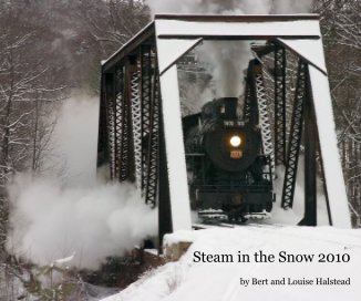 Steam in the Snow 2010 book cover