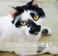 DOWNTOWN CAT book cover
