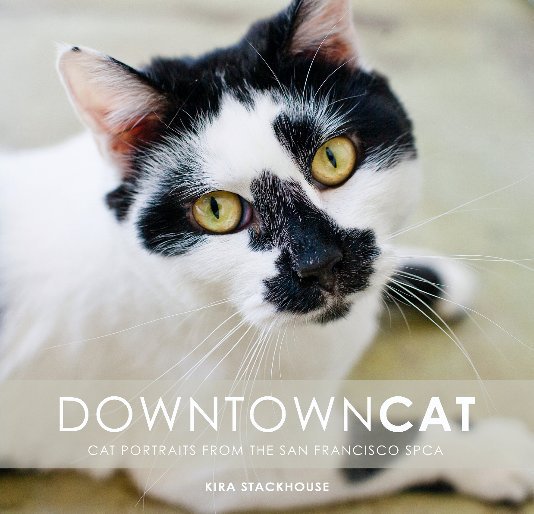 View DOWNTOWN CAT by Kira Stackhouse