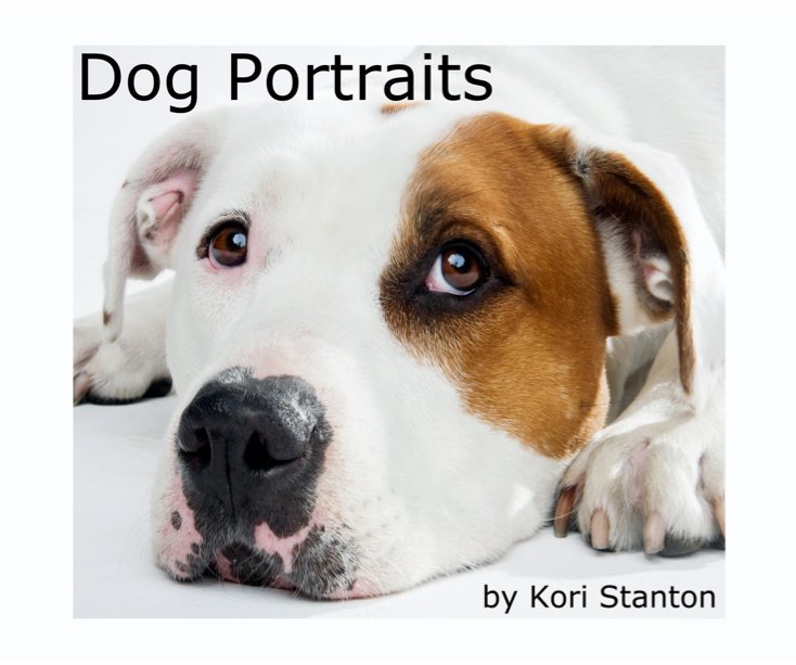 View Dog Portraits by Kori Stanton