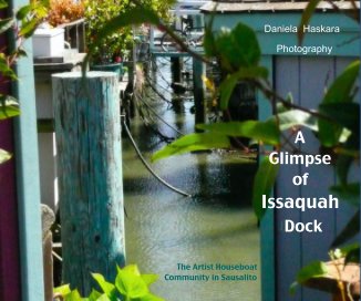A Glimpse of Issaquah Dock book cover